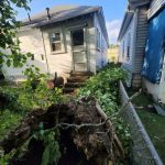 Patriot Tree Experts - Storm Damaged Cherry tree in Charleston, WV