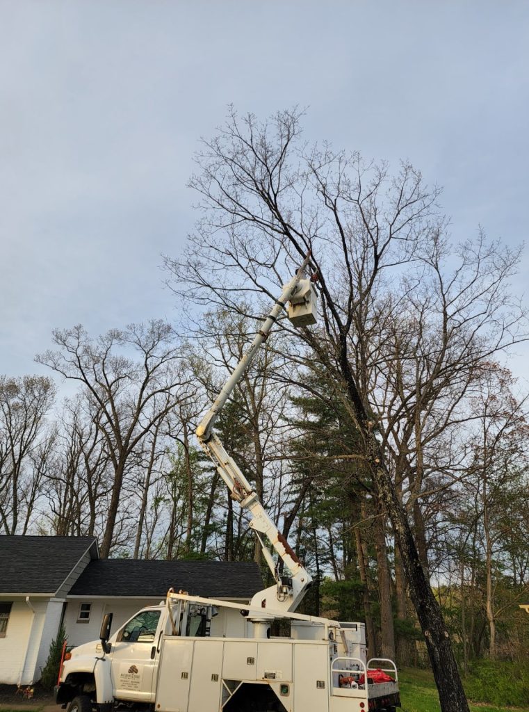 Patriot Tree Experts - Bucket Truck - Removal of Tree in Charleston, WV