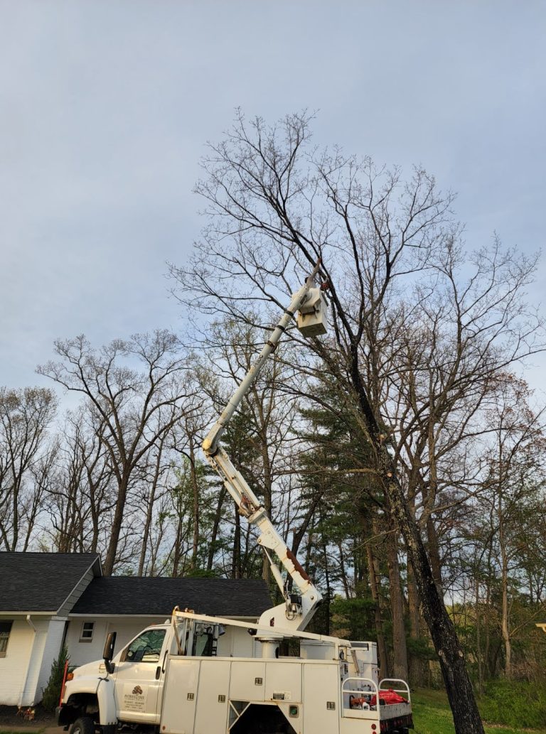 Patriot Tree Experts - Bucket Truck - Removal of Tree in Charleston, WV
