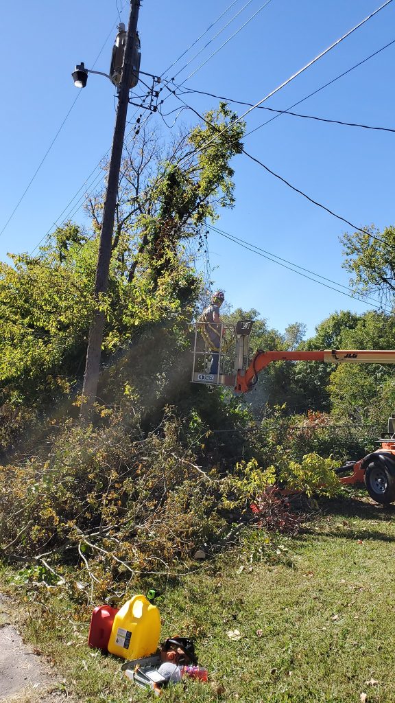 Trimming 4 Trees with lift by power lines in Charleston, WV