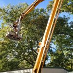 Trimming Maple Tree with lift by house in Charleston, WV