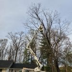 Patriot Tree Experts - Bucket Truck - Removal of Tree in Charleston, WV