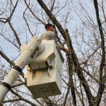 Tree removal using a Bucket Truck in South Hills - Charleston, WV