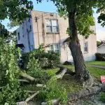 Patriot Tree Experts - Storm Damaged Maple tree in Charleston, WV