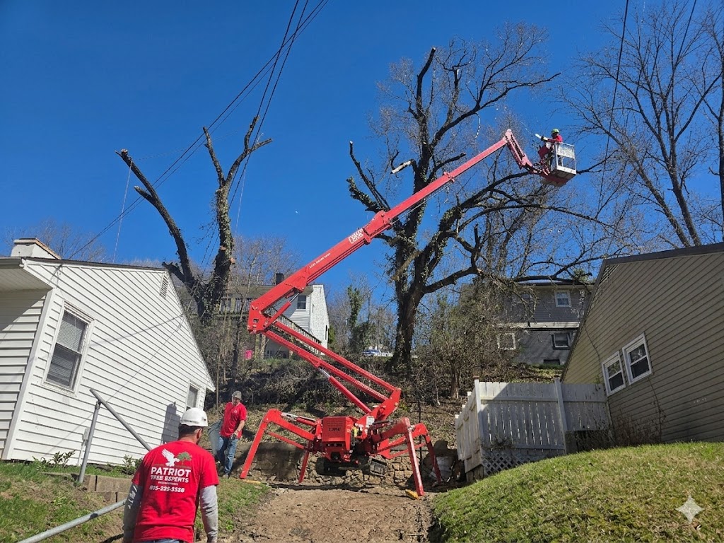 Patriot Tree Experts aerial tree trimming using a red spider lift and bucket truck service for precision pruning near power lines and residential homes in Charleston, WV