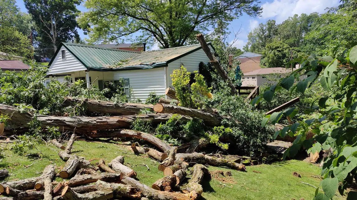 Storm tree damage near a house in Charleston WV