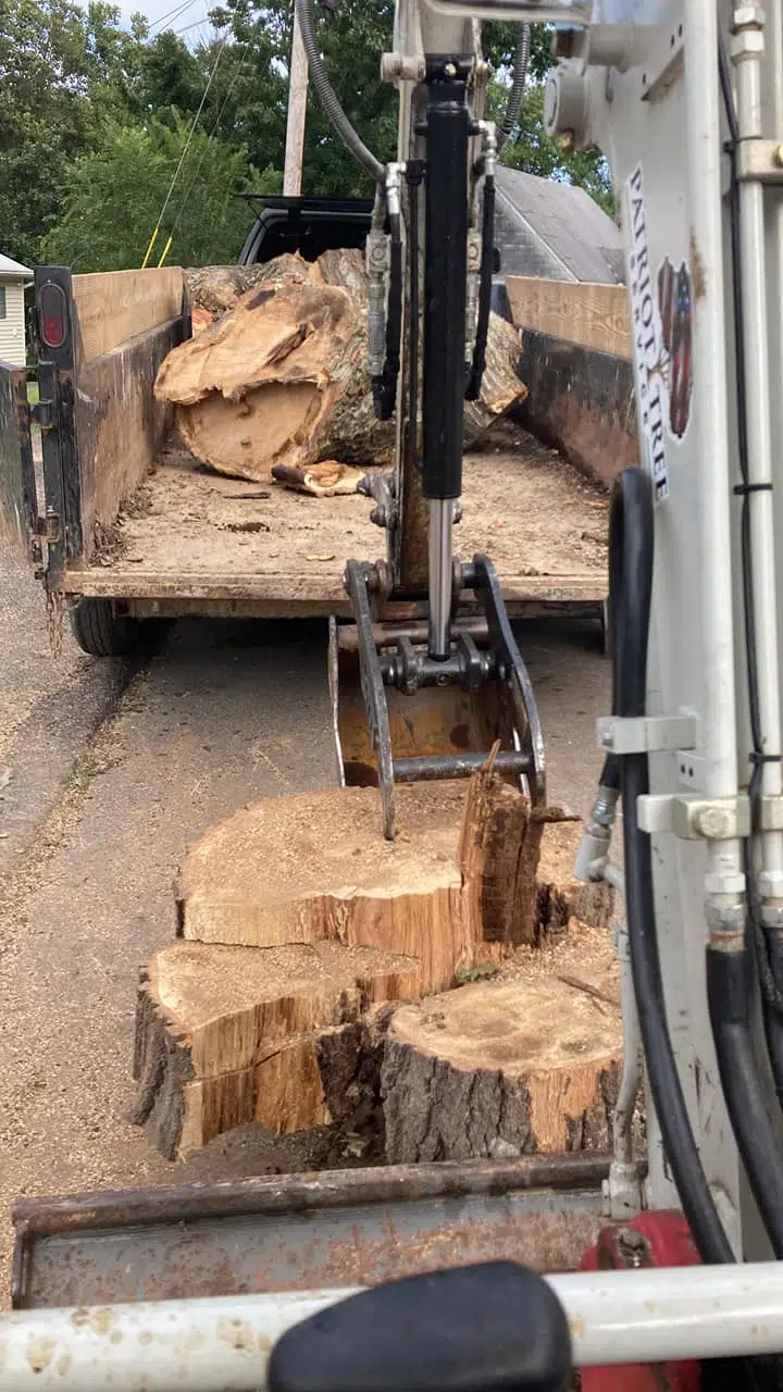 Loading logs after tree removal in Charleston WV