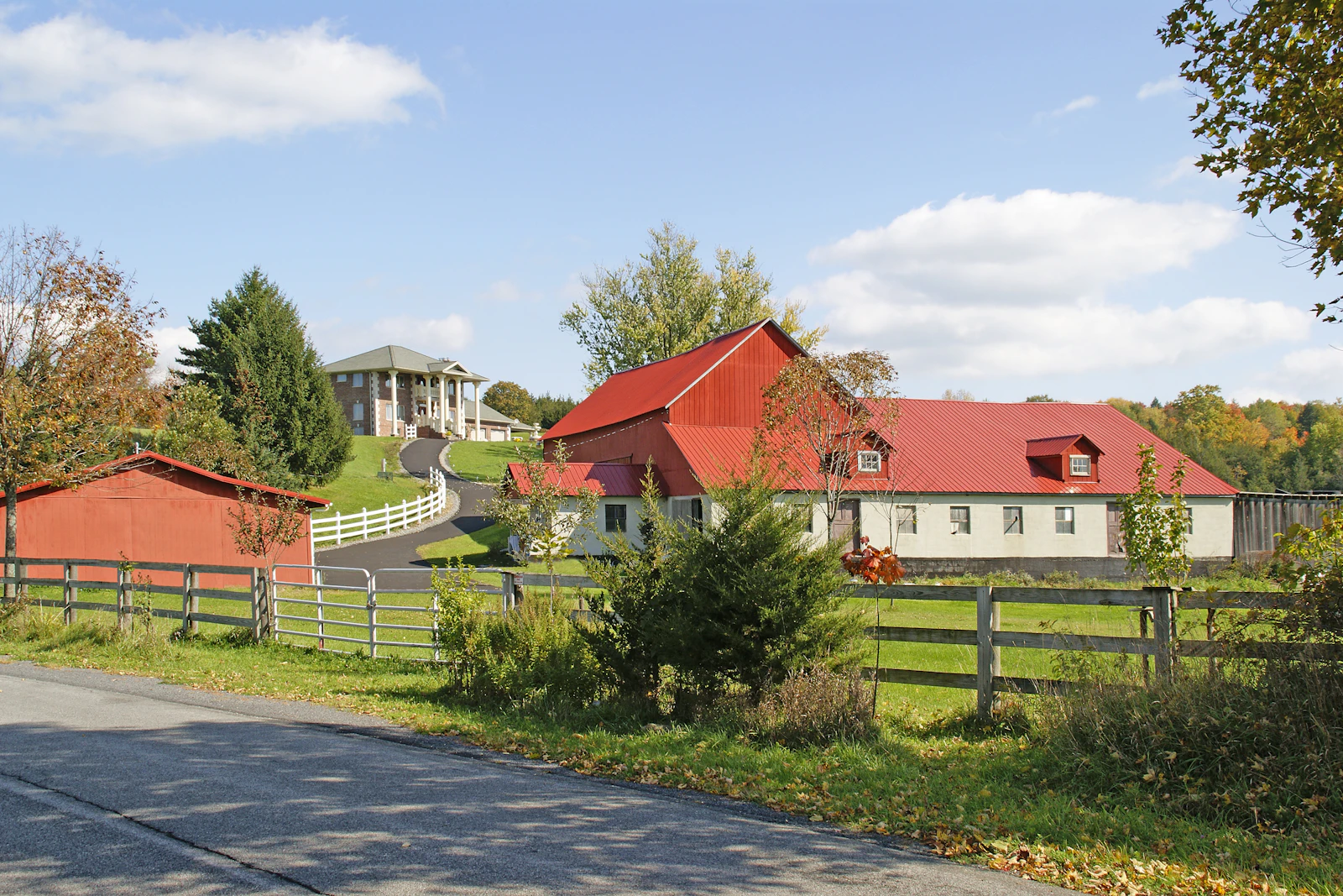 Mature trees and residential property representing tree service needs in Belle WV