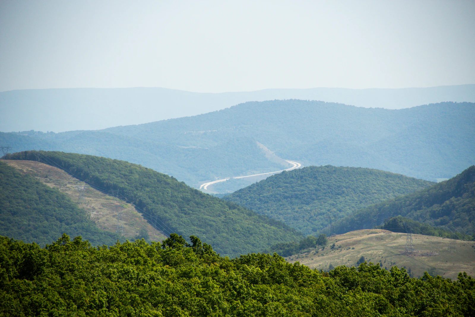Wooded Appalachian landscape representing the Belle WV tree service area