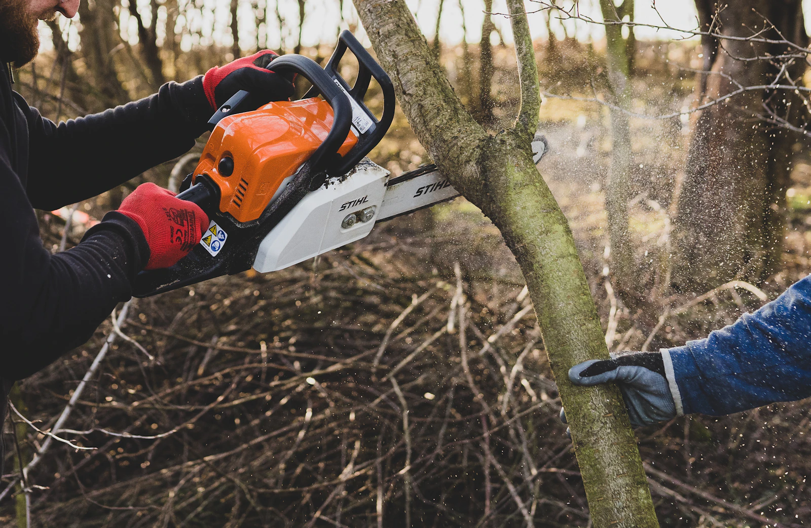 Professional tree removal for Elkview WV properties