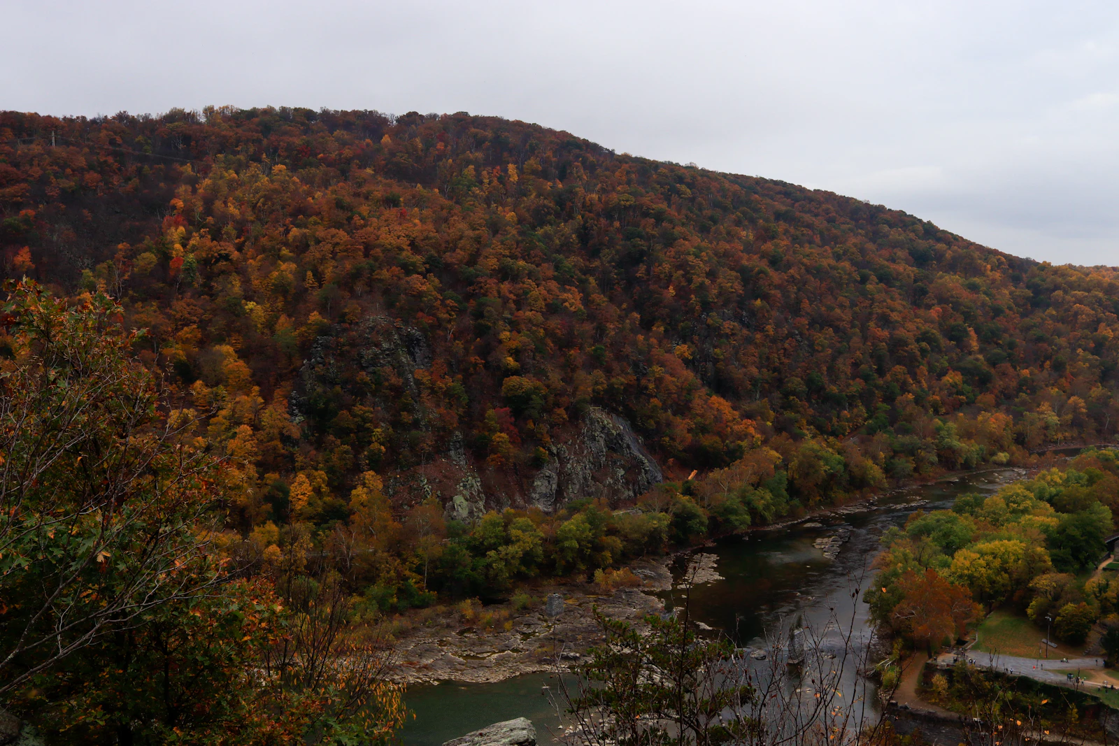 Wooded Appalachian landscape representing the Marmet WV tree service area