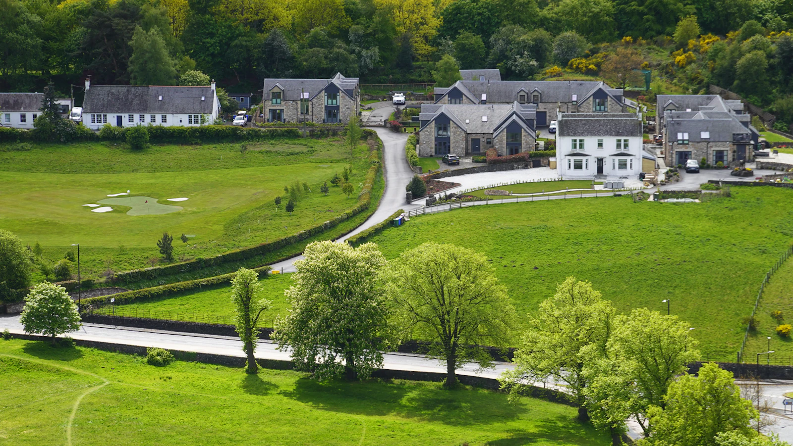 Mature trees and residential property representing tree service needs in St. Albans WV